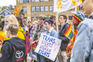 Detalj fra paraden, "trans rights is human rights"