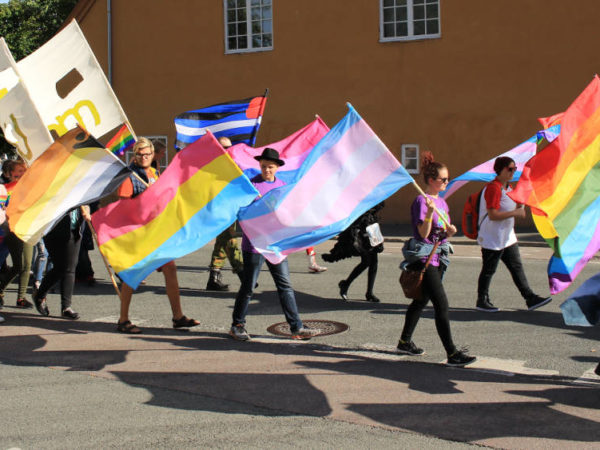 Parade flagg